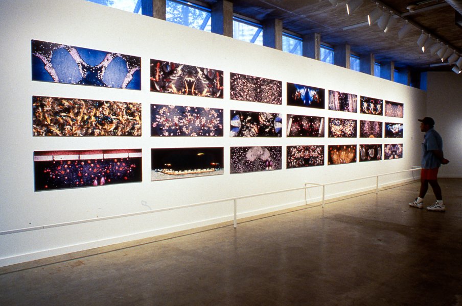 Installation View, Feild of Vision: Five Gulf Coast Photographers. Contemporary Arts Museum, Houston 1998.