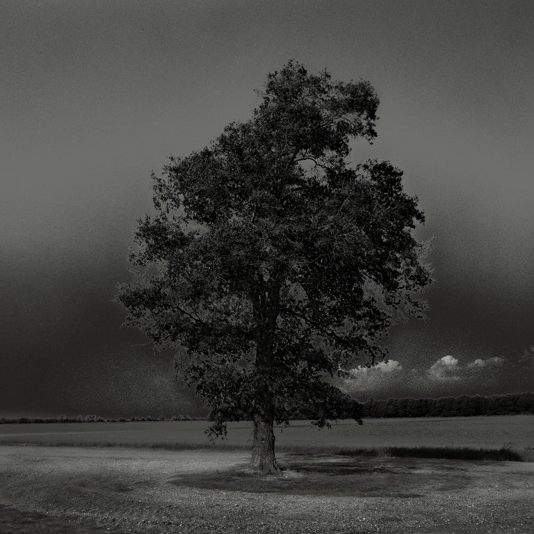 Osamu James Nakagawa