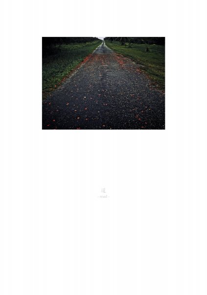 road, Tinian Island, 2006, from Remains