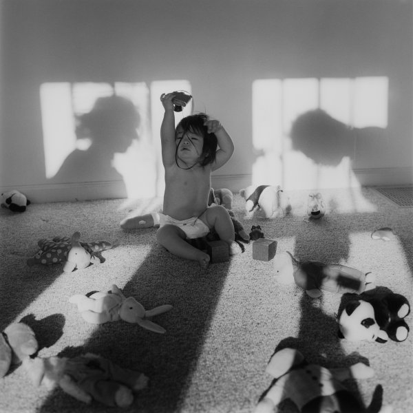 Morning Light, Bloomington, Indiana, Spring 1999, From the series Kai