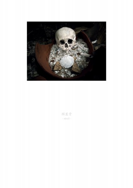 skull, Kumejima, Okinawa, 2006, from Remains