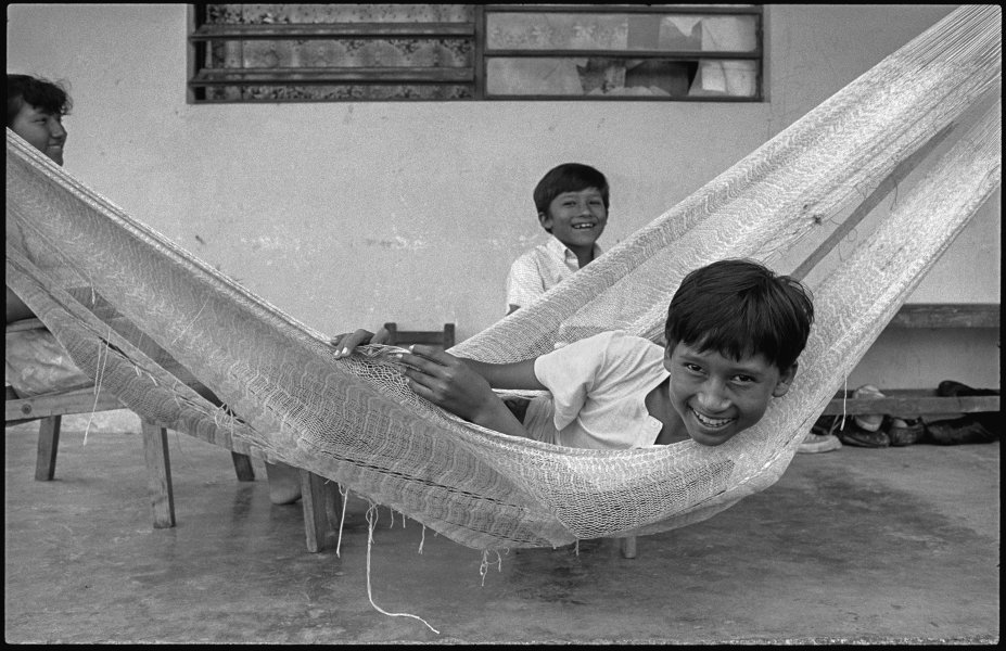 Hammock, Ococingo