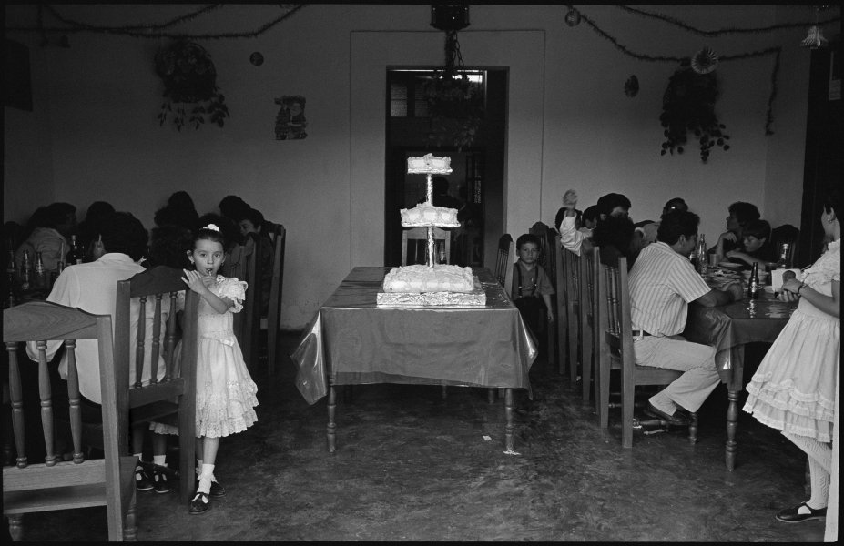 Wedding Cake, Ococingo